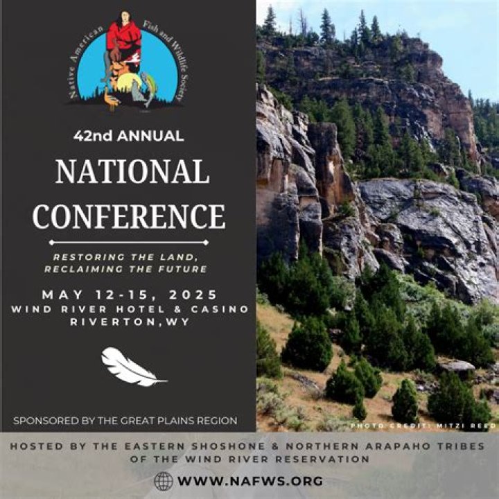 Who amongst the following is the president of the National Conference at present?