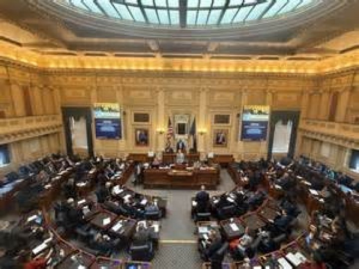 Who are delegates in the House of Representatives?