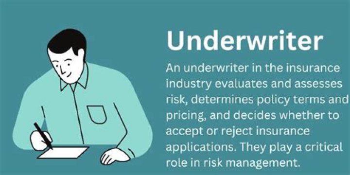 Who are GoSkippy underwritten by?