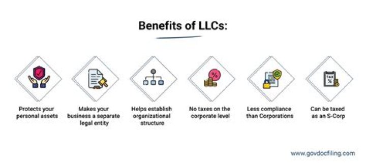 Who are LLCs a good choice for?