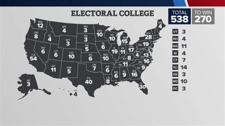 Who are the Electoral College voters?
