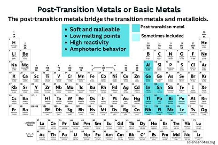 Who bonds with transition metals?