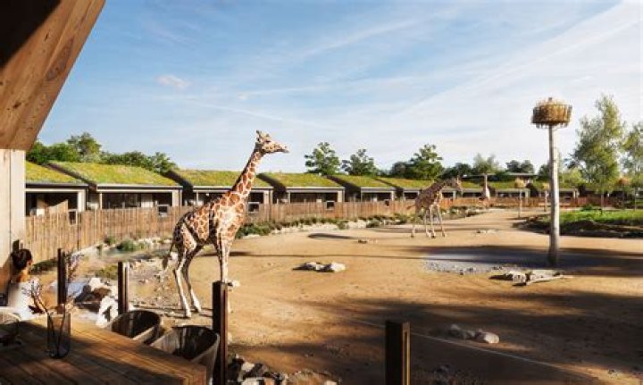 Who designed the bird aviary at London Zoo?
