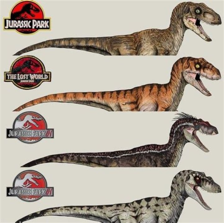 Who did the Raptors pick in the 2013 draft?