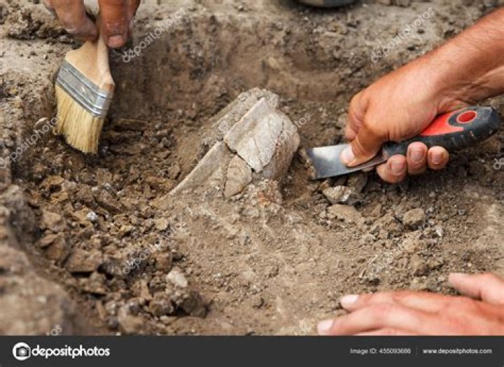 Who do archaeologists work with?