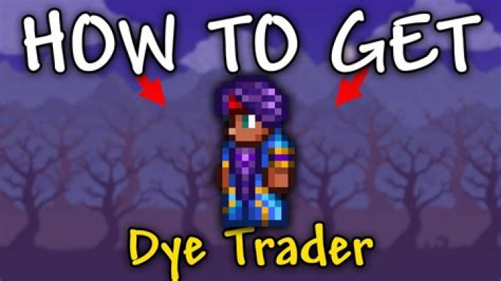 Who does the Dye Trader like?