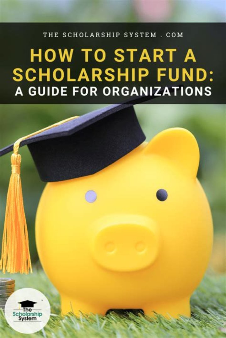 Who gets the scholarship in HSM3?