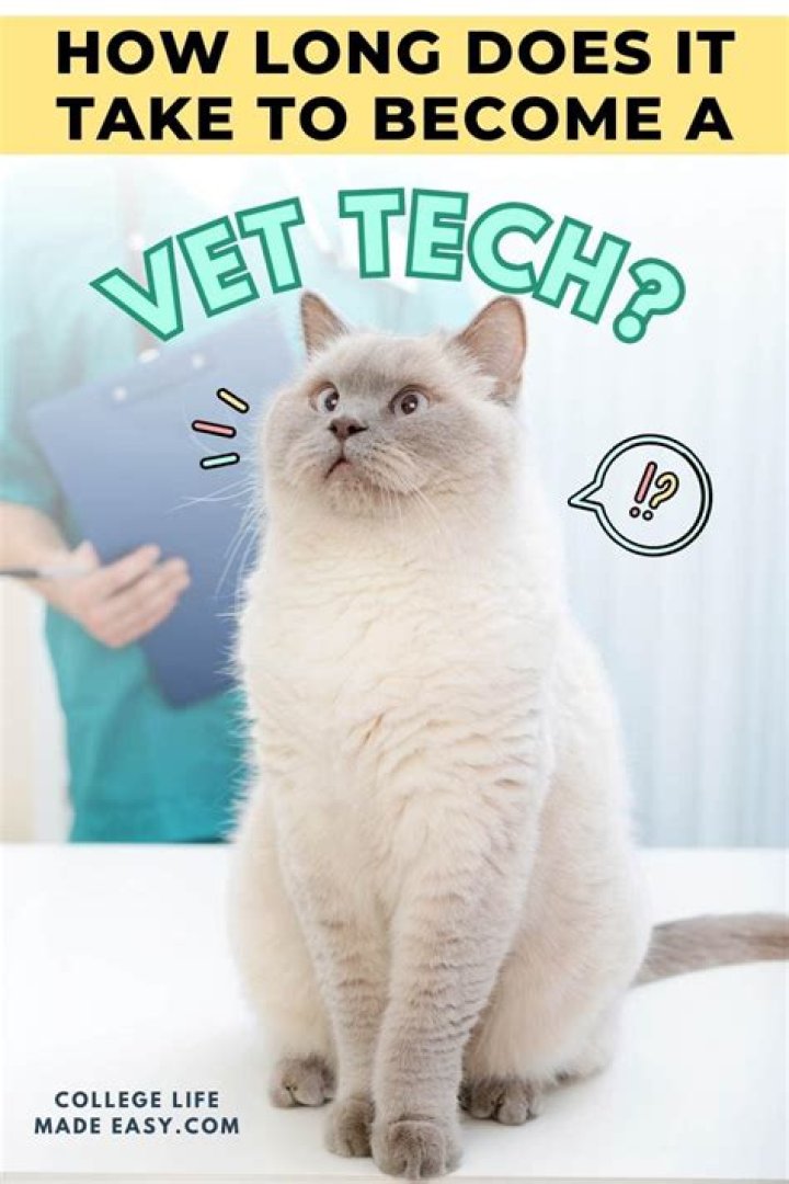 Who has the best online vet tech program?