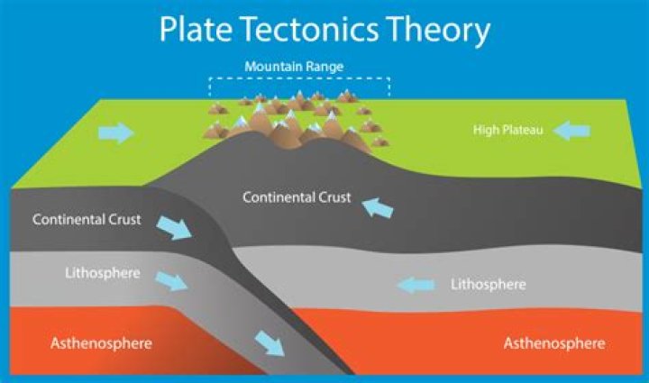 Who introduced the theory of plate tectonic?