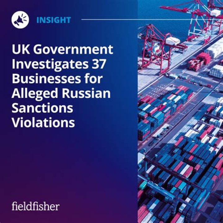 Who investigates the government UK?