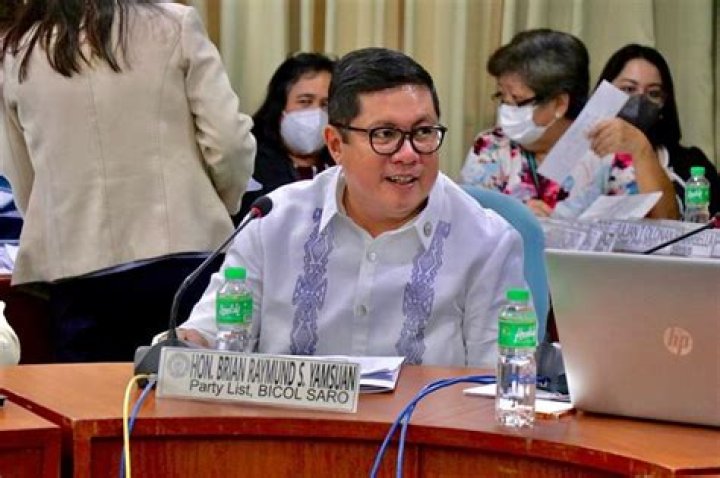 Who is the congressman of Paranaque City?