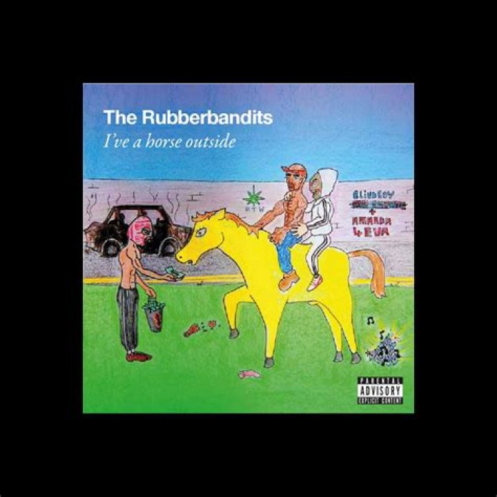 Who is the girl in the rubberbandits video for horse outside?