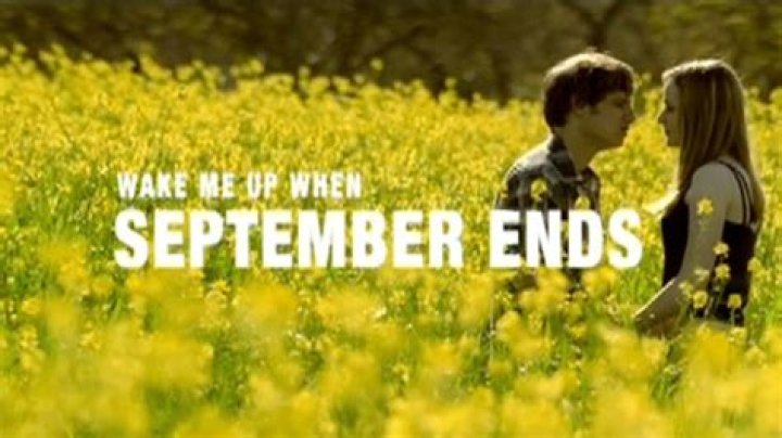Who is the girl in the Wake Me Up When September Ends video?