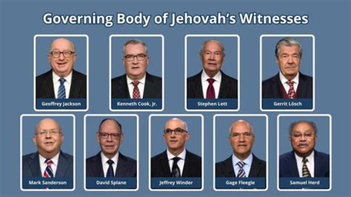 Who is the governing body for vets?