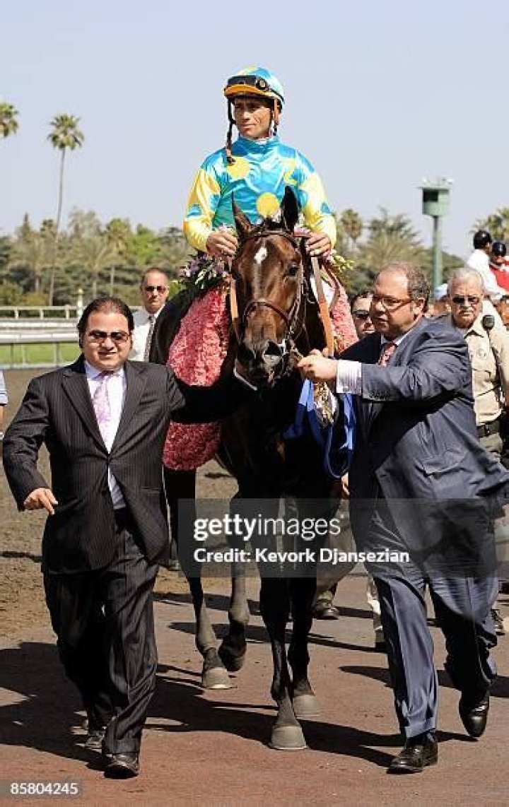 Who is the owner of Ahmed Zayat the horse?