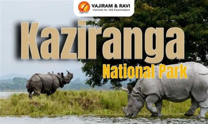 Who is the owner of Kaziranga National Park?