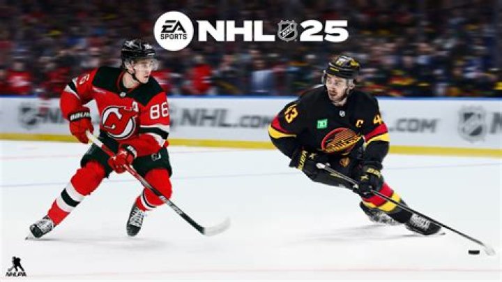 Who is the toughest NHL player today?