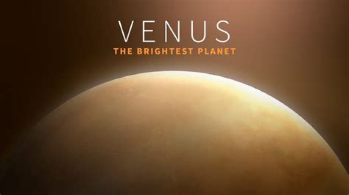 Who is Venus de Milo in TMNT?
