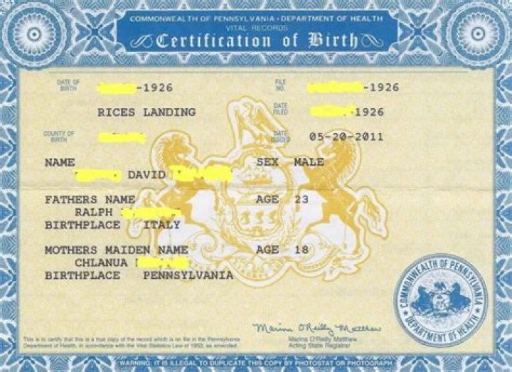 WHO issues birth certificates in the US?