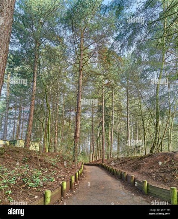 Who lives at Sherwood Forest Plantation?
