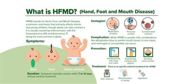 Who makes FMD?
