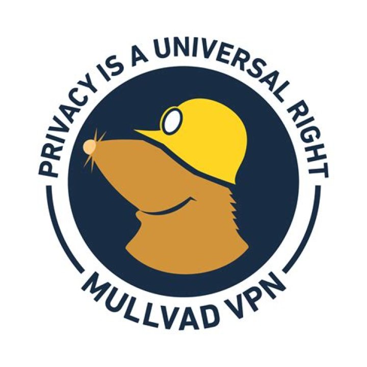 Who owns Pulse VPN?