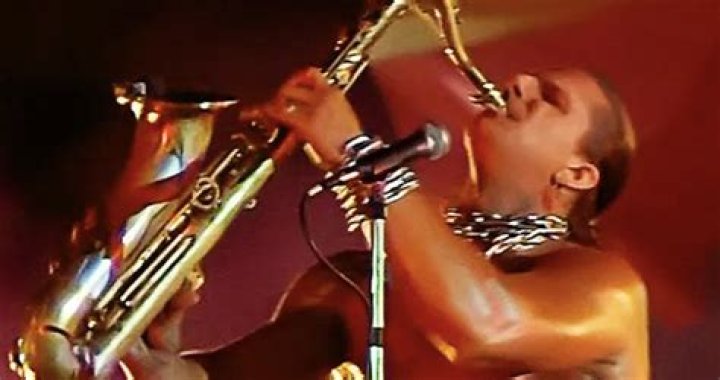 Who plays the saxophone in the Blues Brothers?