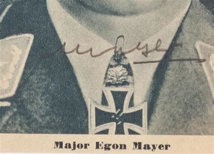 Who shot down Egon Mayer?