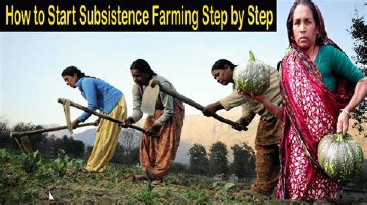 Who started subsistence farming?