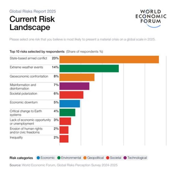 Who takes ownership of the merchandise when it enters their country and accepts all the risks associated with generating local sales?