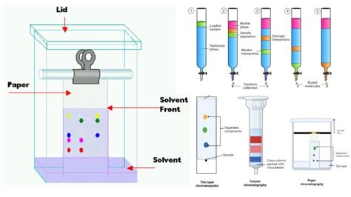 Who uses chromatography?