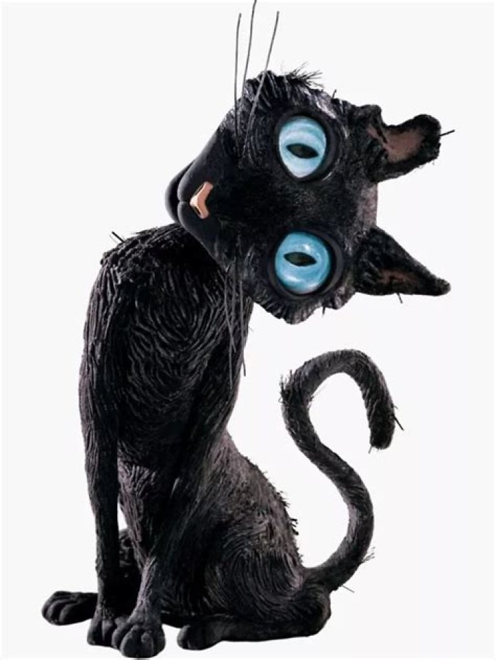 Who was the cat in True Grit?