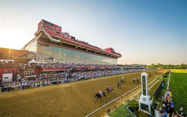 Who won race 11 at Pimlico?
