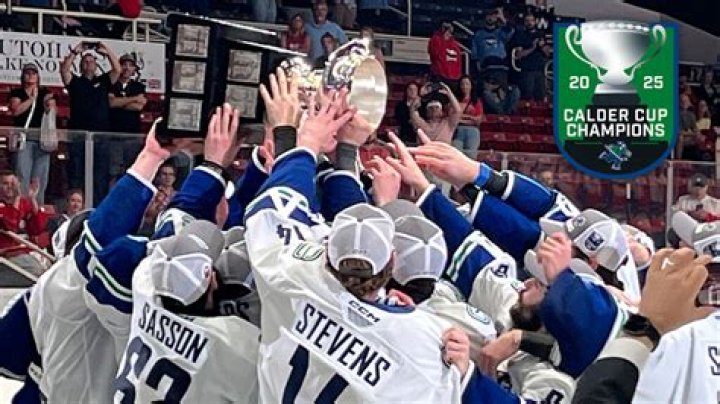 Who won the 2010 Calder Cup?