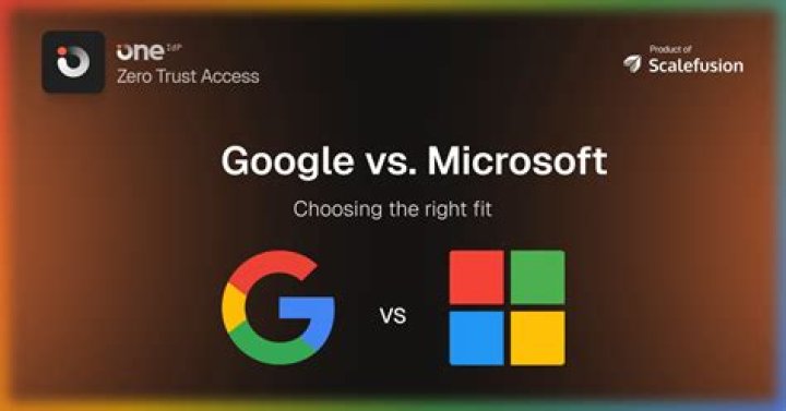 Why are Google and Microsoft the same color?