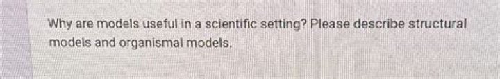 Why are models useful?