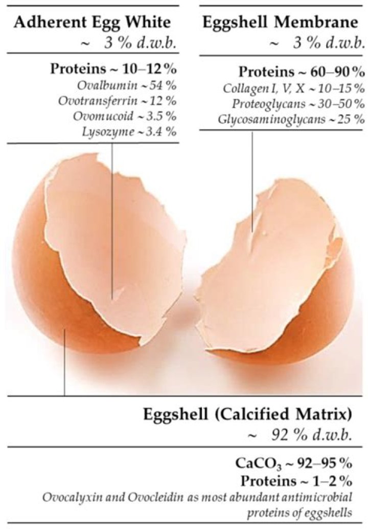 Why are my chicken eggs shells thin?