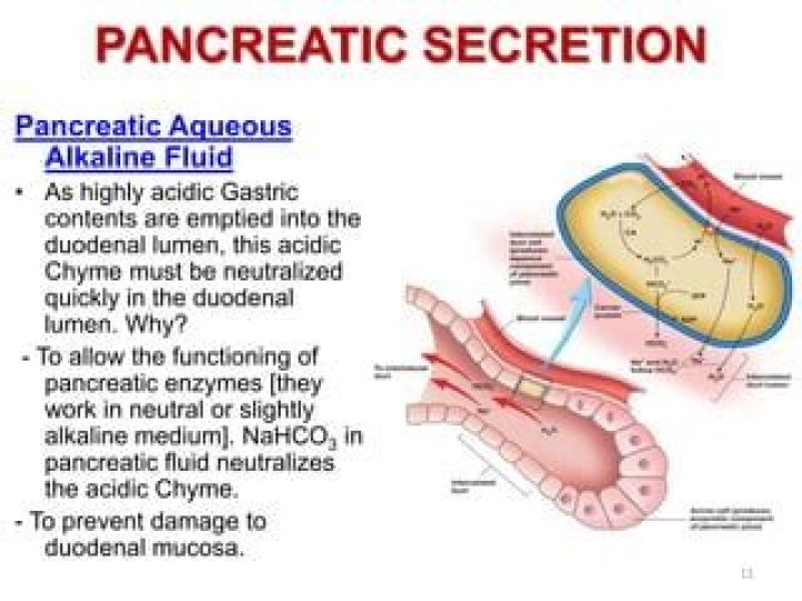 Why are pancreatic secretions alkaline?