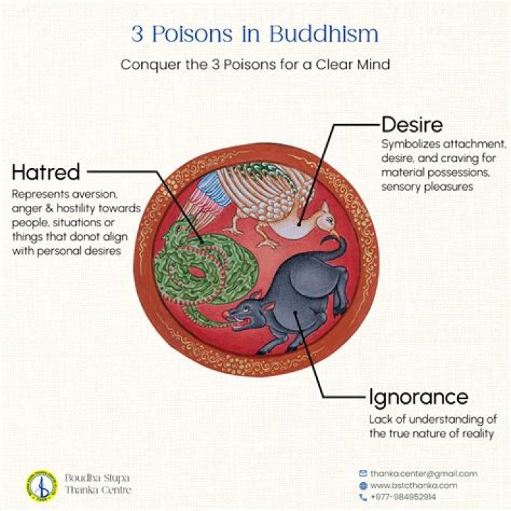 Why are the 3 poisons important in Buddhism?