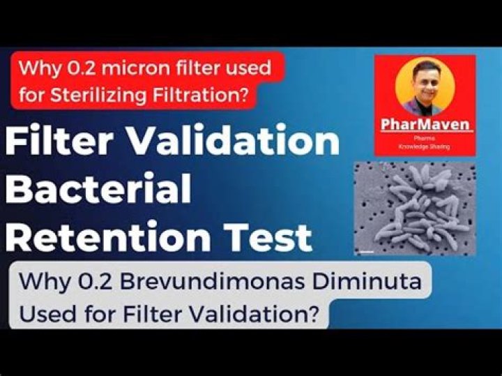 Why Brevundimonas diminuta used in filter validation?