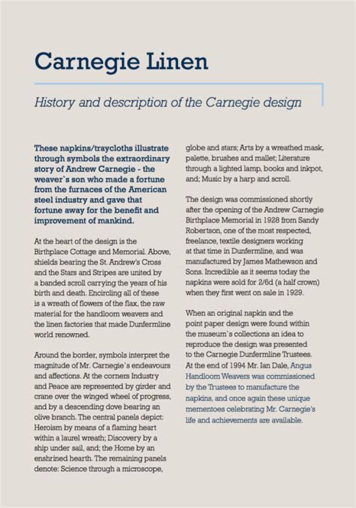 Why did Carnegie decide to apply much of it to library?