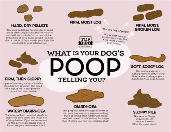 Why did I poop out a leaf?