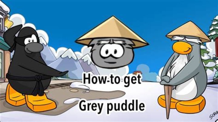 Why did my Puffle disappear?