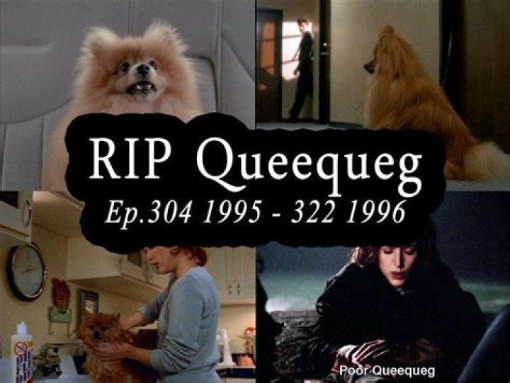 Why did Scully name her dog Queequeg?