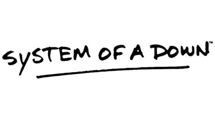 Why did System of a Down name chop suey?