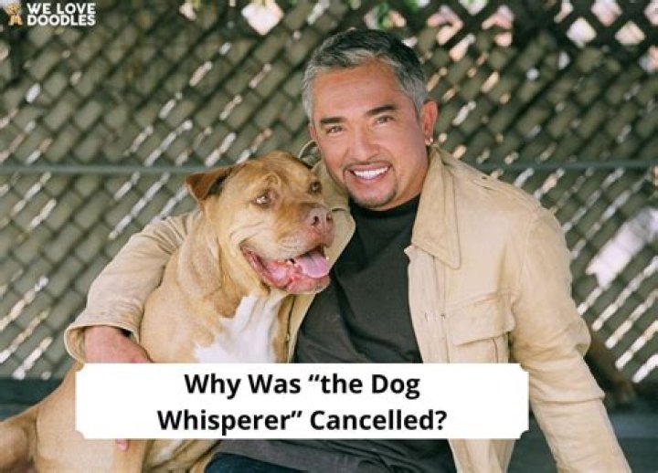 Why did the dog whisperer get canceled?
