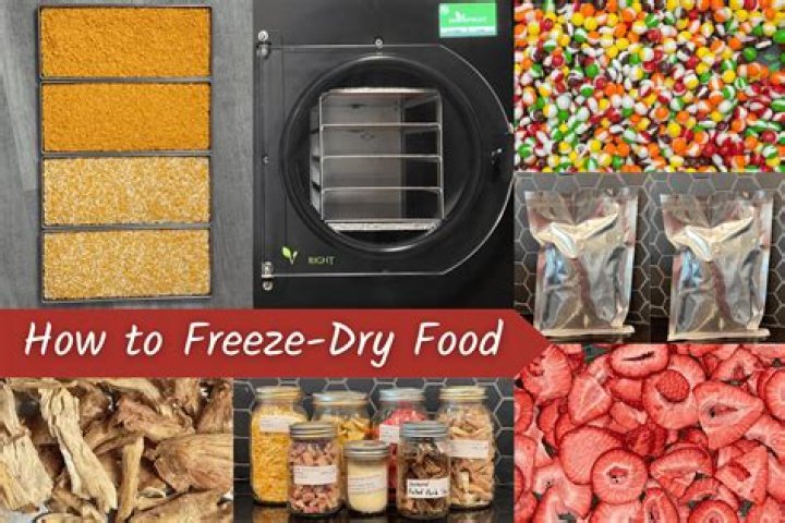 Why did the Incas freeze dry food?