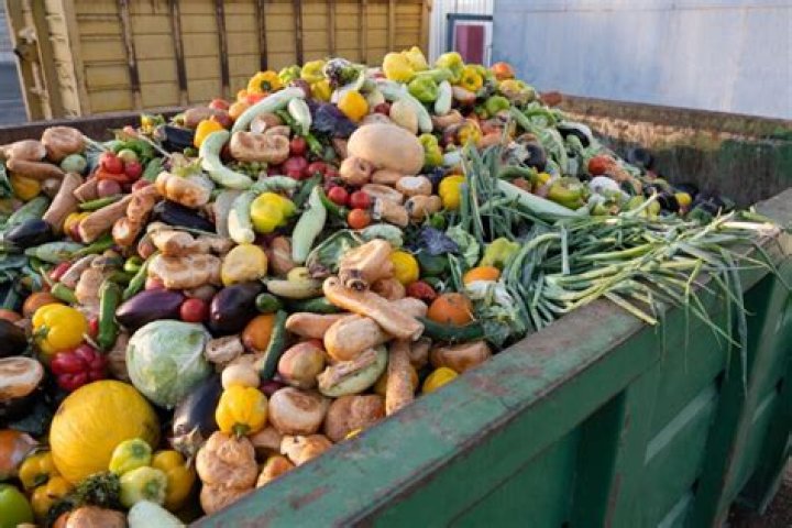 Why did the Mesopotamians have a surplus of food?