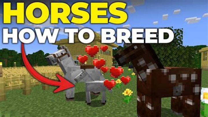 Why do my horses in Minecraft keep disappearing?