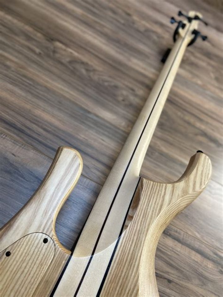 Why do people buy fretless guitars?